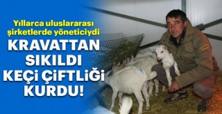  Kravattan sıkıldı, keçi çiftliği kurdu