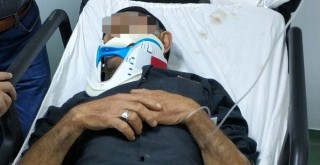 Kestiği ağaç üzerine düşen yaşlı adam ağır yaralandı