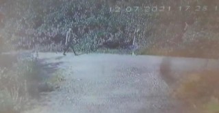 Zanlıdan kan donduran sözler