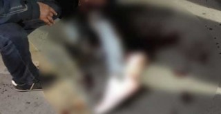 Metrobüste hareketli dakikalar! Bir anda ortalık karıştı