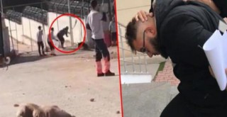 Savunması da olay kadar korkunç