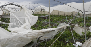Samandağ’da çıkan hortum seraları yerle bir etti