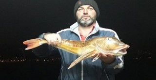 Ağlara uçar balığı takıldı