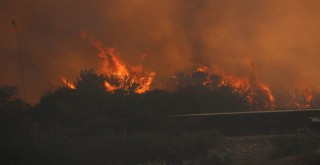 Yangınlarda son durum: 161'i kontrol altında, 13 yangın devam ediyor