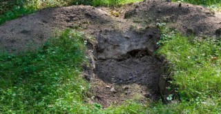 Diri diri gömülen kadın, mezardan çıktı