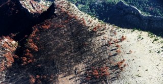  Yanan 72 hektar alan havadan görüntülendi