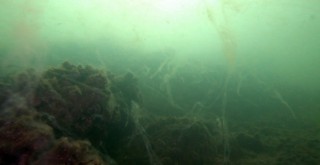 Marmara Denizi'nden kötü haber! Dipte göz gözü görmüyor