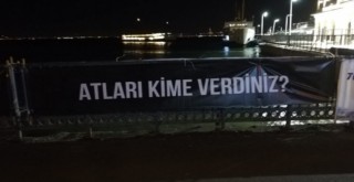 Adalar'da hayvanseverlerden İBB'ye 'kayıp at' tepkisi