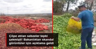 Sebzelerin çöpe döküldüğü görüntüler tepki çekmişti! Ticaret Bakanlığı, işin aslını açıkladı