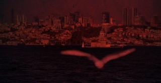  İstanbul'da devlet ormanlarına yapılan kaçak yapıların yıkımına başlandı