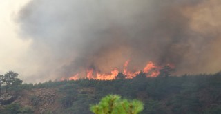 Köyceğiz'deki yangın yeniden başladı