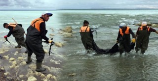 Duyarlı vatandaşın ihbarı, Van Gölü’nü kurtardı