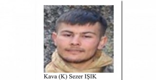 Gri kategorideki terörist etkisiz hale getirildi