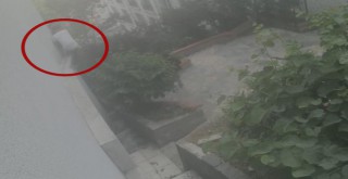 İstanbul'da otele tırmanan hırsızlar kamerada!