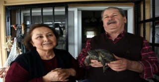 Çöpte buldular, ailenin ferdi oldu! 'İki ay kış uykusuna yatınca...'