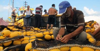 Balıkçılar yeni av sezonuna hazırlanıyor