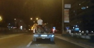 Kamyonetin üzerindeki motosiklette şaşırtan görüntü