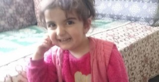 Evrim, 280 gündür kayıp