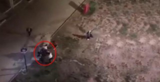 Çığlıklar yeri göğü inletti!