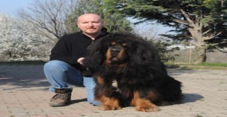Yetiştirdiği köpekler 150 bin liraya kadar alıcı buluyor