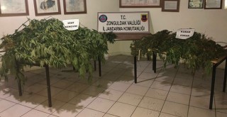 Zonguldak'ta uyuşturucu operasyonu
