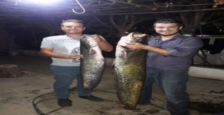 5 kişi elleriyle yakalayıp çıkardı! İnsan boyunda.