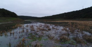 Alibeyköy Barajı dolmaya başladı