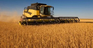 Buğday biçim ücretleri belirlendi