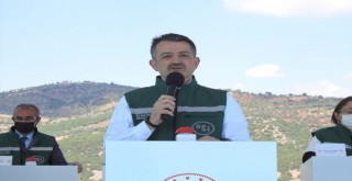 Bakan Pakdemirli duyurdu!