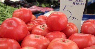 Yerli domates satışa sunuldu,