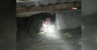 Kumar baskınından sürünerek kaçış