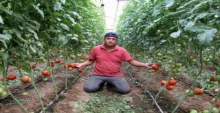 Fiyatı düşecek...