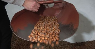 Fındıkta stoklar eriyor