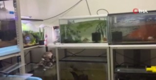 Japonya'da 7.2 büyüklüğünde deprem!