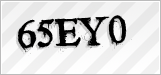 CAPTCHA security code