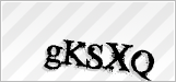 CAPTCHA security code