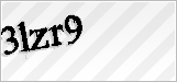 CAPTCHA security code