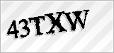 CAPTCHA security code