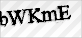 CAPTCHA security code
