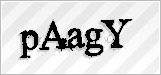 CAPTCHA security code