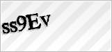CAPTCHA security code