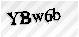 CAPTCHA security code