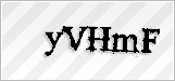 CAPTCHA security code