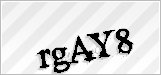 CAPTCHA security code