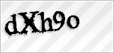CAPTCHA security code