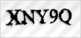 CAPTCHA security code