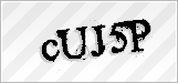 CAPTCHA security code