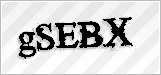 CAPTCHA security code