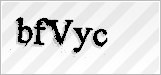 CAPTCHA security code