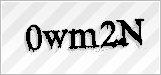 CAPTCHA security code